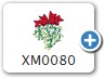 XM0080